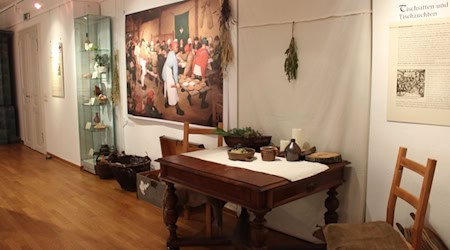 Neue Ausstellung in Coswig. Foto: Museum Coswig