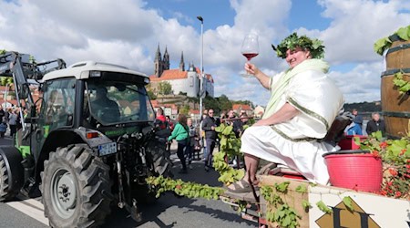 Weingott Bacchus beim Weinfestumzug. Fotos: Stadtverwaltung Meißen