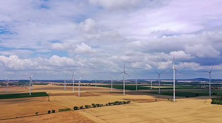 Das Thema Windkraft beschäftigt am Mittwoch den Landtag. / Foto: Jan Woitas/dpa