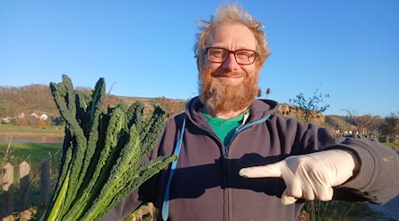 Tierparkchef Sven Näther präsentiert das Gemüse des Jahres 2025: den Blattkohl, hier die Sorte Palmkohl. Foto: Elbetierpark Hebelei