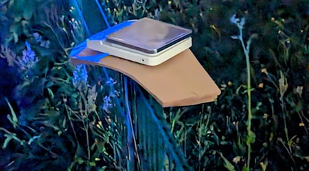 Feinwaage auf brauner Tüte auf grünem Metallgeländer im Freien bei Dämmerung