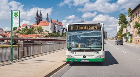 Zum Fisch- und Waldfest in Mortitzburg fahren zusätzliche Züge und Busse. Foto: Lars Neumann