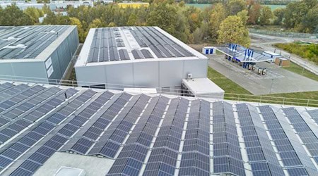 Diese PV-Module versorgen den neuen Ladepark in Klipphausen. Foto: EnBW