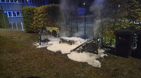 Feuer gelöscht. Foto: Feuerwehr Riesa