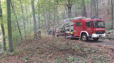 Feuer im Wald bei Klipphausen. Foto: Feuerwehr Klipphausen