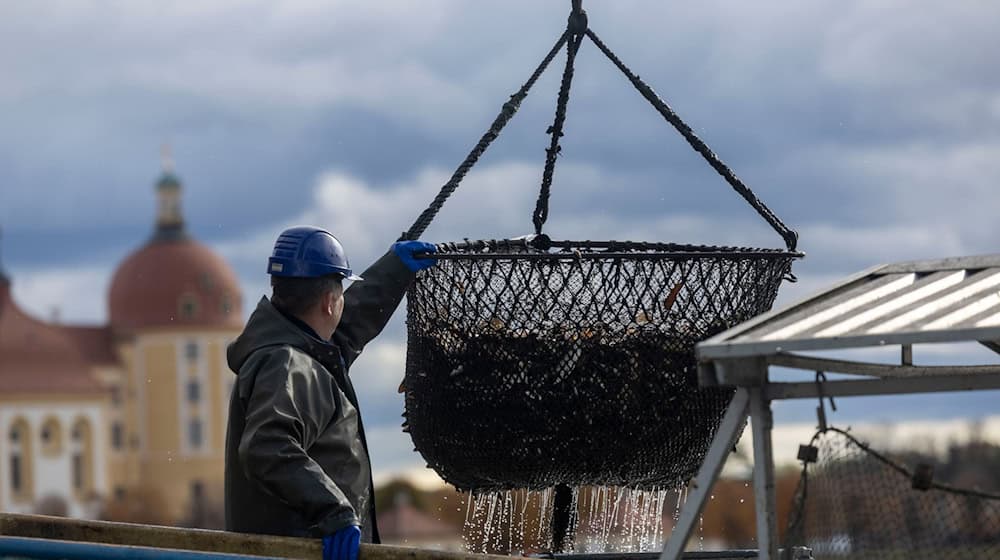 La fiesta del pescado y el bosque concluyó el domingo con un tiempo desapacible.  / Foto: Daniel Wagner/dpa La fiesta del pescado y el bosque concluyó el domingo con un tiempo desapacible.  / Foto: Daniel Wagner/dpa