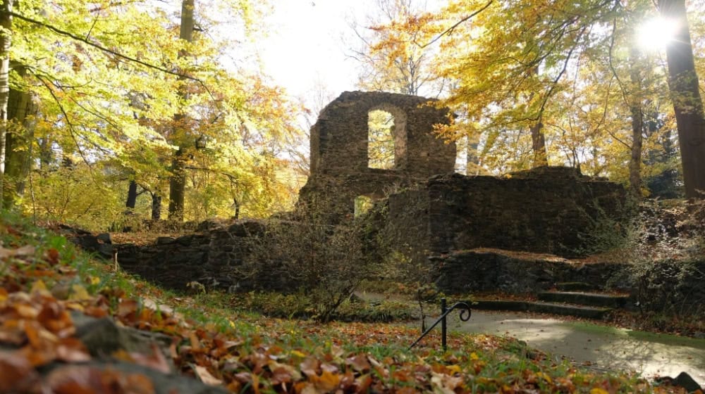 Ruine der ehemaligen Abtei im Klosterpark Altzella. Foto: Juliane Schikade