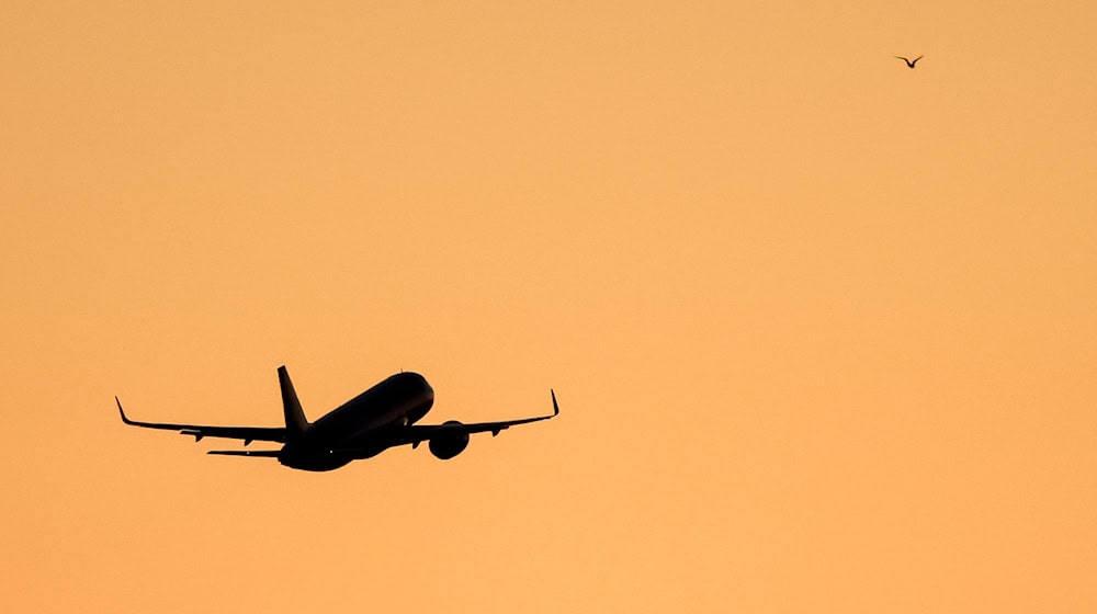 The police have taken a drunk passenger out of an airplane. (Symbolic image) / Photo: Jan Woitas/dpa