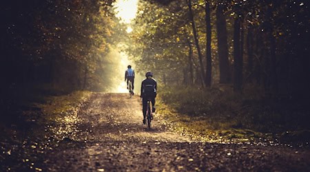 Symbolbild Radfahren / pixabay JLFineArt