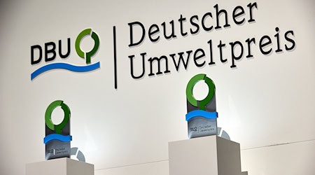 El Premio Alemán de Medio Ambiente se entregará este año en la Capital de la Cultura de Chemnitz. (Foto de archivo) / Foto: Georg Wendt/dpa El Premio Alemán de Medio Ambiente se entregará este año en la Capital de la Cultura de Chemnitz. (Foto de archivo) / Foto: Georg Wendt/dpa