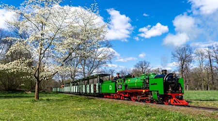 Noch unter Dampf: Lok "Lisa" der Parkeisenbahn. Foto: Ben Walther/Schlösserland