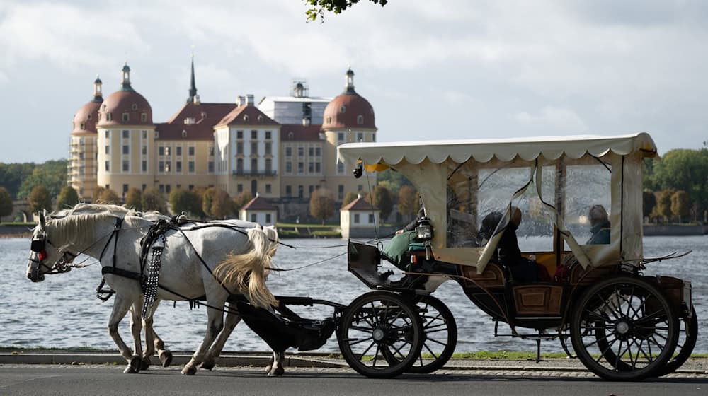 The fall vacations in Saxony last until October 19. (Archive image) / Photo: Sebastian Kahnert/dpa