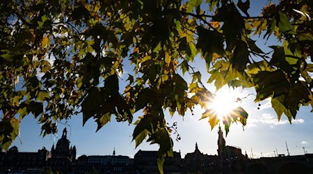 Wetter zum Genießen erwartet die Menschen am verlängerten Wochenende. (Archivbild) / Foto: Robert Michael/dpa Wetter zum Genießen erwartet die Menschen am verlängerten Wochenende. (Archivbild) / Foto: Robert Michael/dpa
