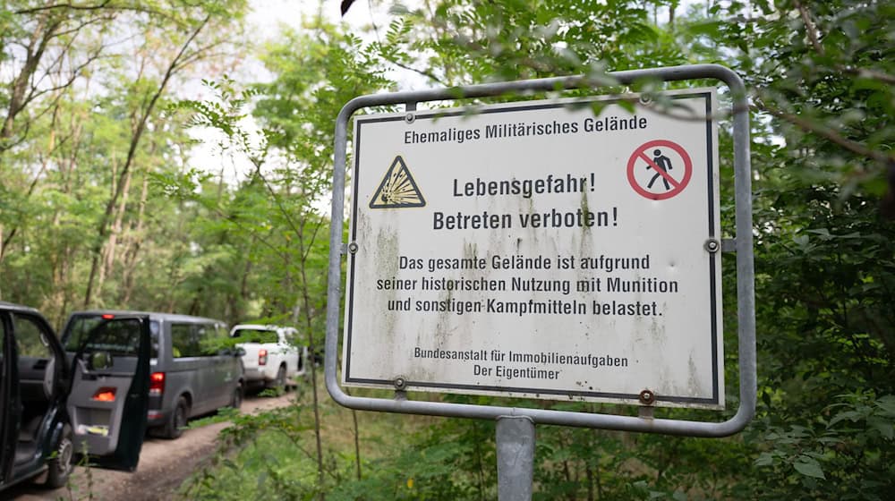 In der Gohrischheide, einem Naturschutzgebiet und früheren Truppenübungsplatz, brach Anfang Juli ein tagelang andauernder Waldbrand an. (Archivbild) / Foto: Sebastian Kahnert/dpa