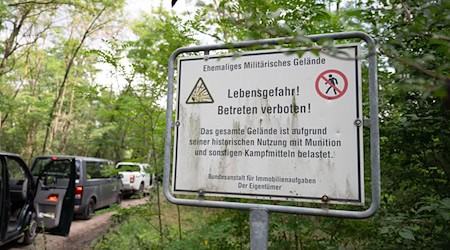 In der Gohrischheide, einem Naturschutzgebiet und früheren Truppenübungsplatz, brach Anfang Juli ein tagelang andauernder Waldbrand an. (Archivbild) / Foto: Sebastian Kahnert/dpa