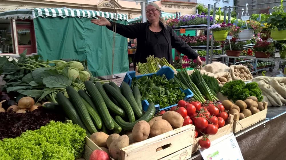Der Grünmarkt 2025 ist am Samstag Geschichte. Foto: Stadt Meißen