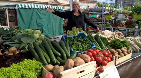 Der Grünmarkt 2025 ist am Samstag Geschichte. Foto: Stadt Meißen