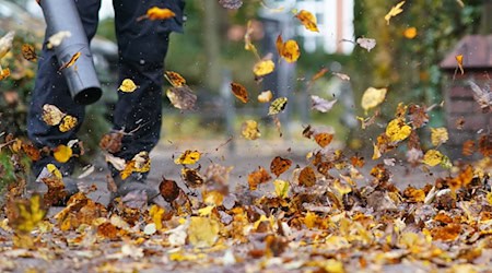 In the fall, streets and sidewalks must be cleared of leaves.  / Photo: Marcus Brandt/dpa