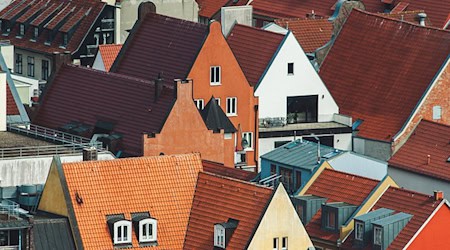 Dächer einer Kleinstadt als Symbolbild für den ländlichen Raum