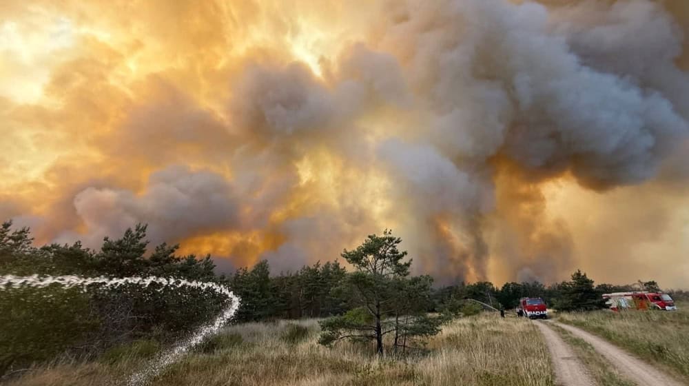 Großfeuer in der Gohrischheide. Foto: Feuerwehr 