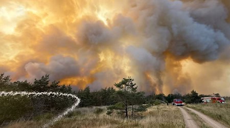 Großfeuer in der Gohrischheide. Foto: Feuerwehr 