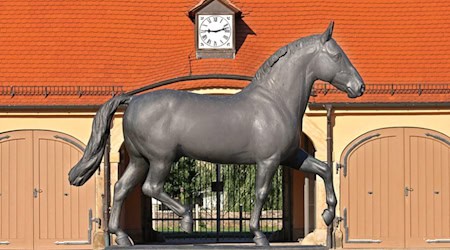 Eingang des Landgestüts Moritzburg. Foto: IMK