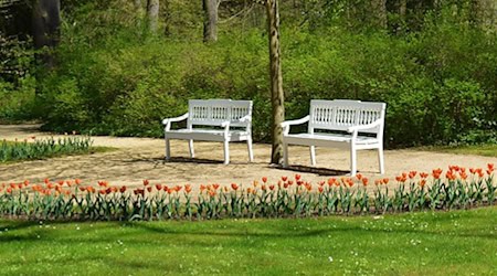 Symbolbild Bänke / pixabay jggrz Symbolbild Bänke / pixabay jggrz