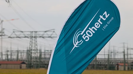 Mit einer neuen Freileitung durch Sachsen, Sachsen-Anhalt und Thüringen des Netzbetreibers 50Hertz kann rund 40 Prozent mehr Strom transportiert werden. (Archivbild) / Foto: Peter Gercke/dpa-Zentralbild/dpa