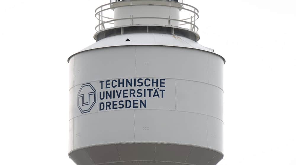 In Hoyerswerda entsteht ein Forschungscampus der TU Dresden. (Archivbild) / Foto: Robert Michael/dpa