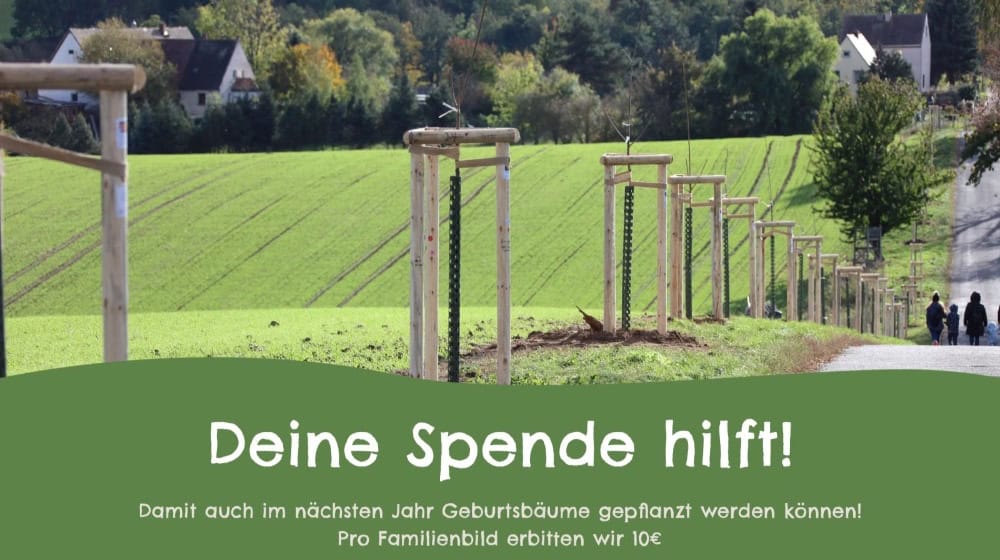 Gepflanzte Bäume auf Nossener Flur. Foto: Stadt Nossen