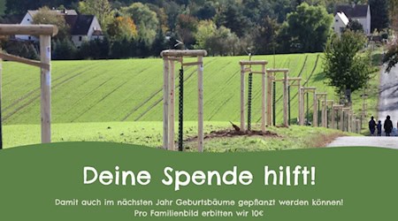 Gepflanzte Bäume auf Nossener Flur. Foto: Stadt Nossen