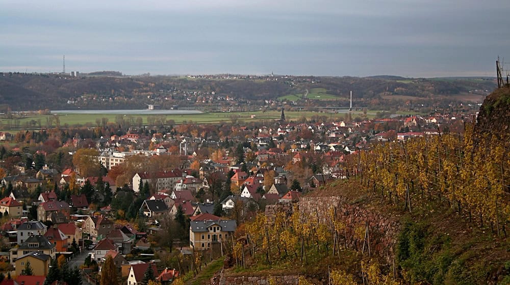 Symbolbild Radebeul / pixabay mirey2222