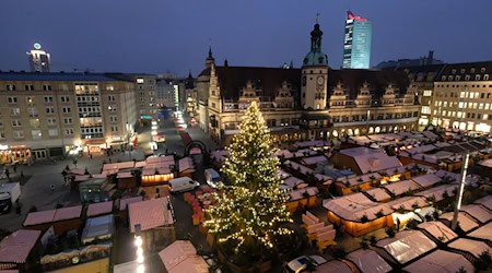 Der Weihnachtsbaum für Leipzig kommt erneut aus dem Vogtland. (Archivbild) / Foto: Sebastian Willnow/dpa-Zentralbild/dpa Der Weihnachtsbaum für Leipzig kommt erneut aus dem Vogtland. (Archivbild) / Foto: Sebastian Willnow/dpa-Zentralbild/dpa