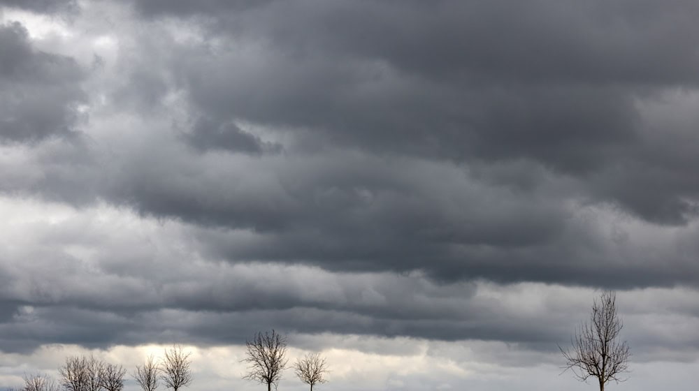 Für heute hat der DWD erneut stürmisches Wetter in Mitteldeutschland vorausgesagt. (Symbolbild) / Foto: Michael Reichel/dpa-Zentralbild/dpa