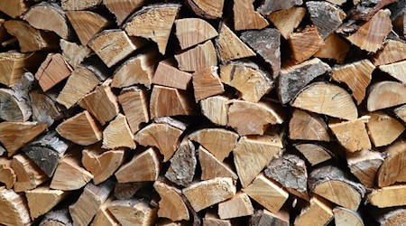 Symbolbild Holzstapel / pixabay Hans