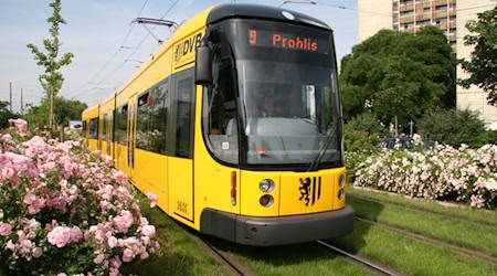 Symbolbild ÖPNV in Dresden. Foto: DVB AG