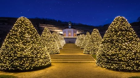 Lichterzauber auf Schloss Wackerbarth. Foto: Staatsweingut
