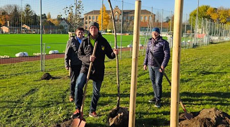 Eigenbetriebsleiter Gunnar Krisch, Postsportverein-Jugendleiter Denis Kruppa und der stellvertretende Leiter des Stadtbezirksamtes Cotta, Roberto Bäcker (v.l.n.r.), pflanzen einen der Obstbäume auf der Sportanlage Hebbelstraße. Foto: Landeshauptstadt Dresden/Diana Petters