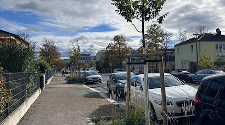 Baumpflanzungen an der Laubestraße. Foto: Landeshauptstadt Dresden, Amt für Stadtgrün und Abfallwirtschaft, Bertram