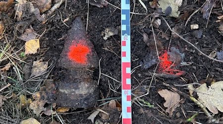 Der Fund im Wald bei Diehsa. Foto: Polizeidirektion Görlitz