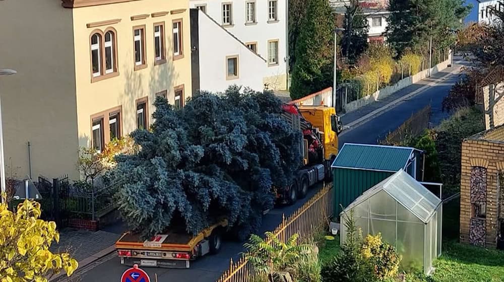 Da rollt er an, der große Meißner Weihnachtsbaum. Foto: Feuerwehr Meißen