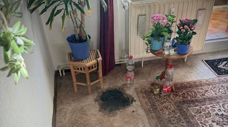 Noch mal Glück gehabt: Brand in der Salzstraße in Coswig. Foto: Feuerwehr Coswig