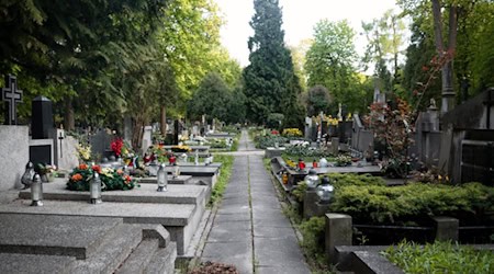 Sudetendeutsche Gräber. Foto: Ministerstvo pro místní rozvoj