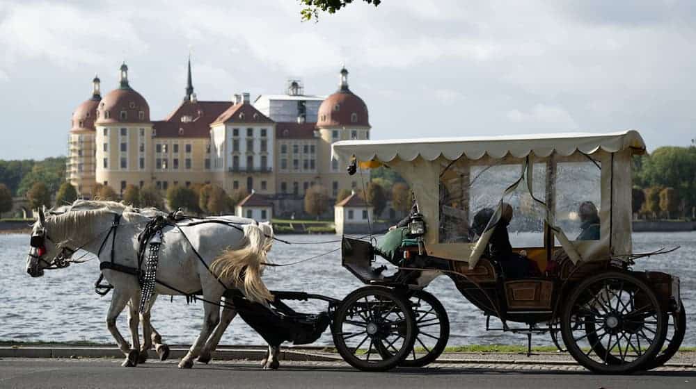 Die Kutschfahrt endete am Dienstagnachmittag abrupt nach dem Unfall. (Symbolbild) / Foto: Sebastian Kahnert/dpa