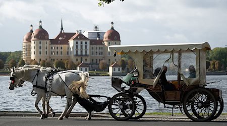 Die Kutschfahrt endete am Dienstagnachmittag abrupt nach dem Unfall. (Symbolbild) / Foto: Sebastian Kahnert/dpa