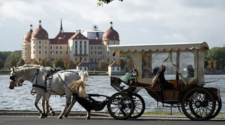 Die Kutschfahrt endete am Dienstagnachmittag abrupt nach dem Unfall. (Symbolbild) / Foto: Sebastian Kahnert/dpa
