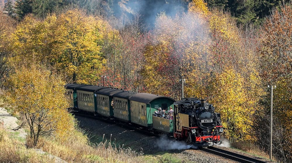 The Fichtelbergbahn has also been at a standstill for the time being since November 2nd. (Symbolic image) / Photo: Jan Woitas/dpa-Zentralbild/dpa