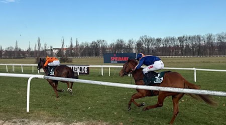Galoppsport am Buß- und Bettag mit Unterstützung der Spielbank Dresden / Foto: Spielbanken Sachsen