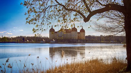 Symbolbild Schloss Moritzburg / pixabay AngelaHB