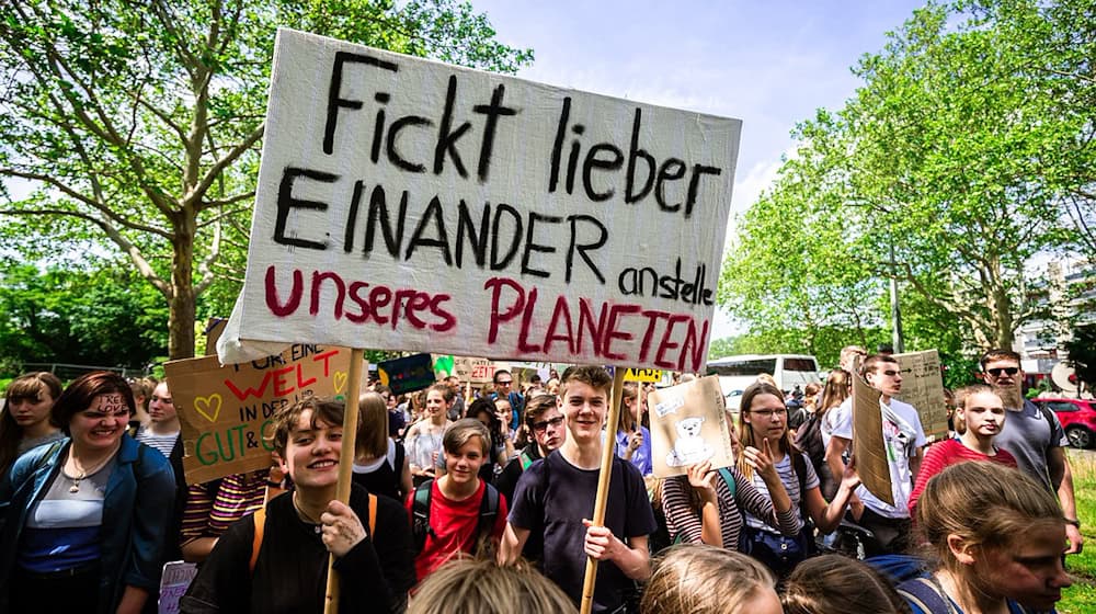 Symbolbild Fridays For Future / pixabay dmncwndrlch